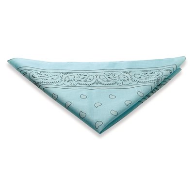 Paisley Bandannas - Blue Paisley Bandannas - Blue