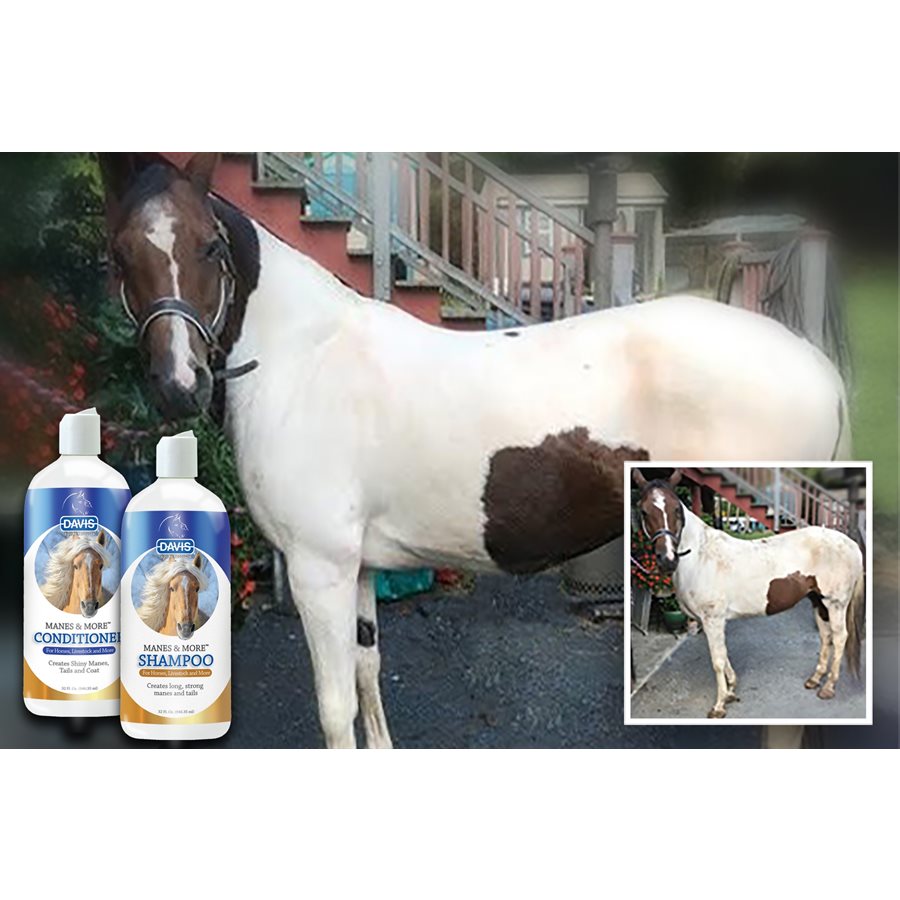 SHAMPOO Manes & More 32 oz.